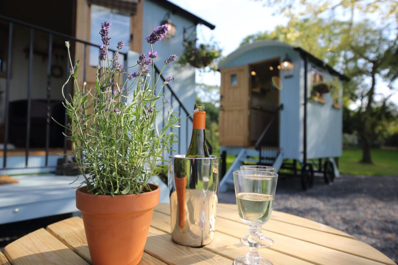 Upper Gelli Luxury Holiday Lodge, Converted Dairy & Cosy Shepherds Huts Welshpool Exterior foto