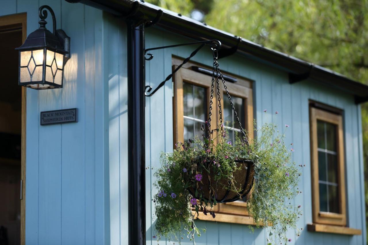 Upper Gelli Luxury Holiday Lodge, Converted Dairy & Cosy Shepherds Huts Welshpool Exterior foto