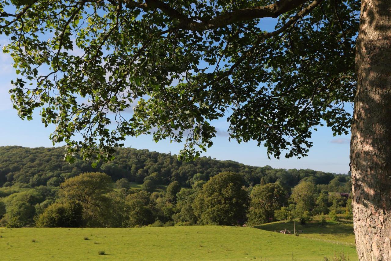 Upper Gelli Luxury Holiday Lodge, Converted Dairy & Cosy Shepherds Huts Welshpool Exterior foto