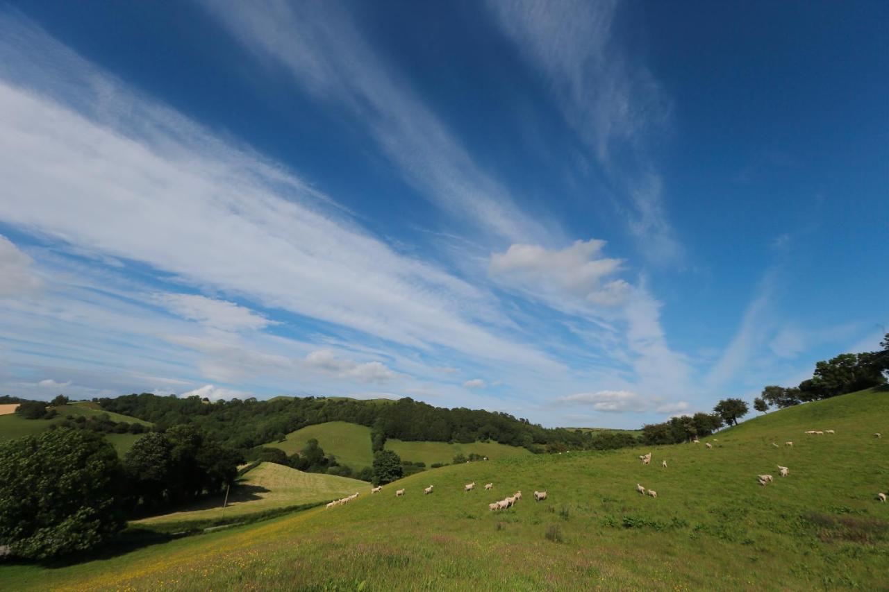 Upper Gelli Luxury Holiday Lodge, Converted Dairy & Cosy Shepherds Huts Welshpool Exterior foto