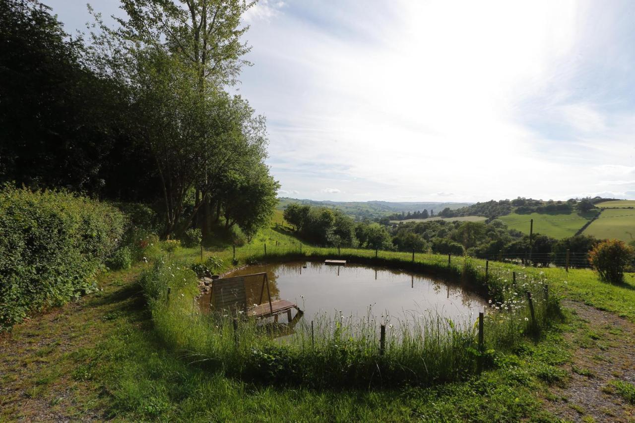 Upper Gelli Luxury Holiday Lodge, Converted Dairy & Cosy Shepherds Huts Welshpool Exterior foto