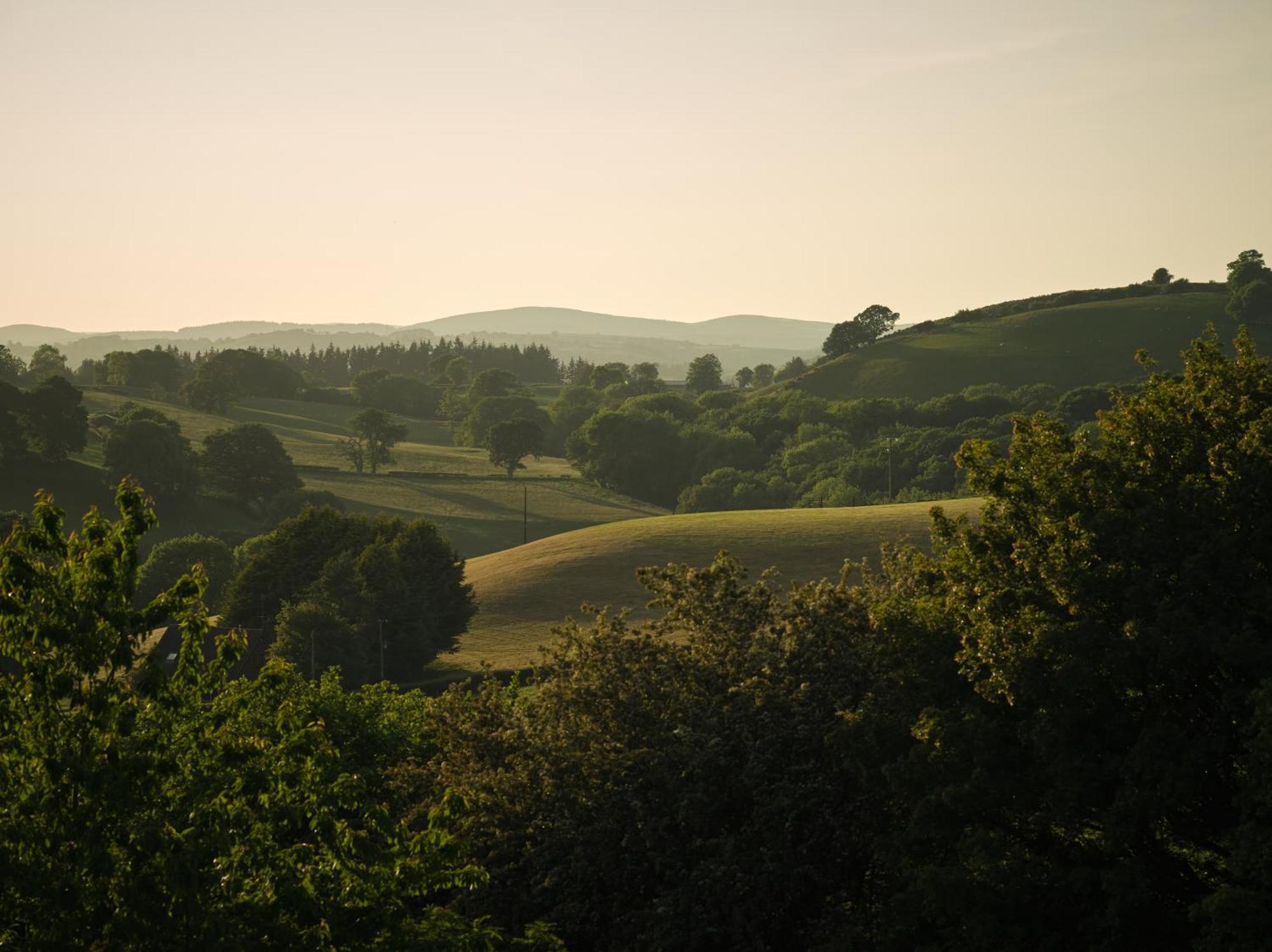 Upper Gelli Luxury Holiday Lodge, Converted Dairy & Cosy Shepherds Huts Welshpool Exterior foto